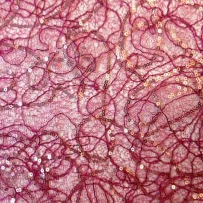 11F-103 Rose Netting With Sequins