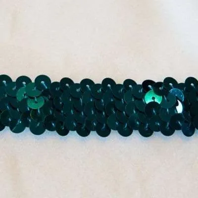 S111 Jewel Stretch Sequins Trim 2 Row