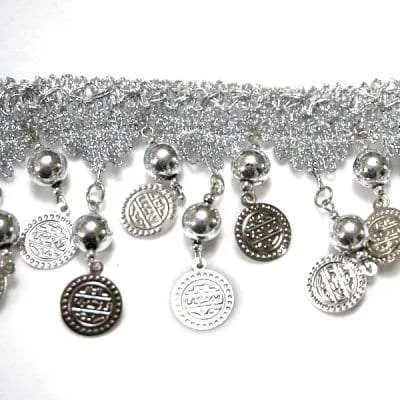 T119 Silver Trim