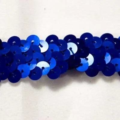 S144 Royal Stretch Sequin Trim 2 Row